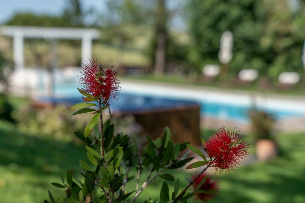 Le Maracla Country House Jesi Exterior foto